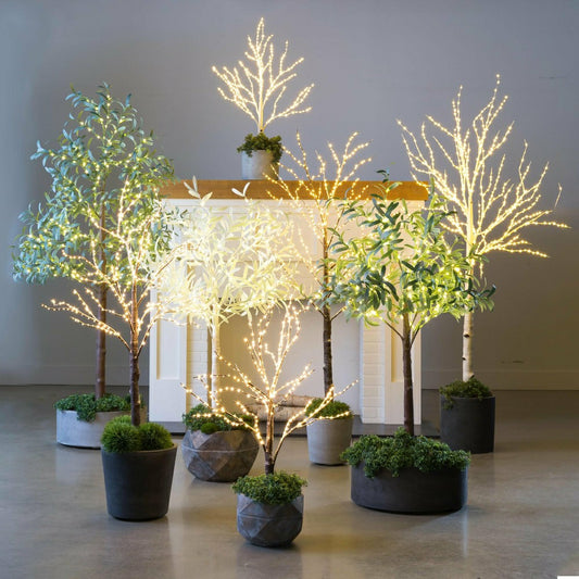 7' Lit Faux Olive Tree, White