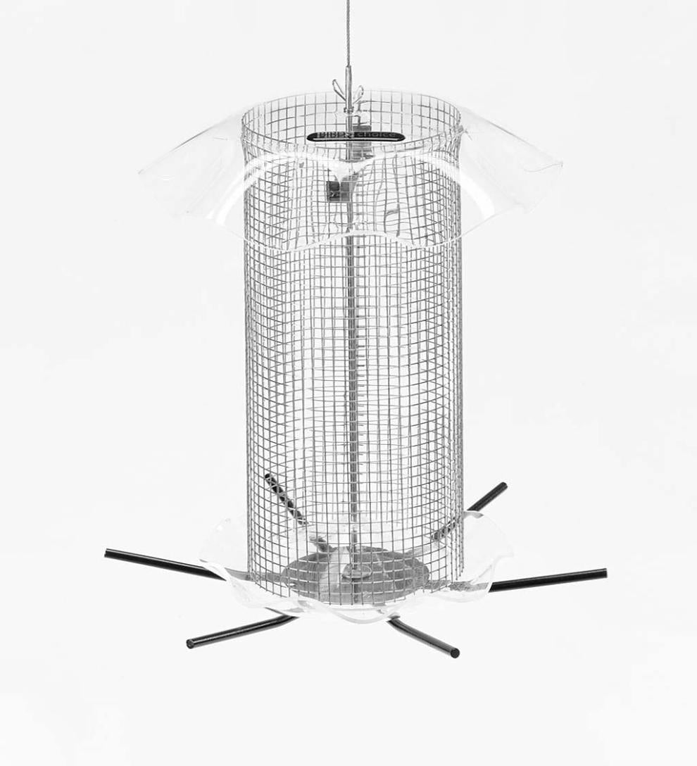 Plow &amp; Hearth Bird Feeders | Yard &amp; Garden 3 Qt. Sunflower Forever Feeder Bird Feeder - Clear