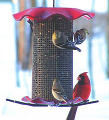 Plow &amp; Hearth Bird Feeders | Yard &amp; Garden 3 Qt. Sunflower Forever Feeder Bird Feeder - Clear