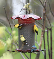 Plow &amp; Hearth Bird Feeders | Yard &amp; Garden Acrylic And Stainless Steel Hanging Nyjer Bird Feeder - Red