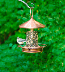 Plow &amp; Hearth Bird Feeders | Yard &amp; Garden Classic Cylinder Perch Bird Feeder In Antiqued Copper And Plexiglass - Copper