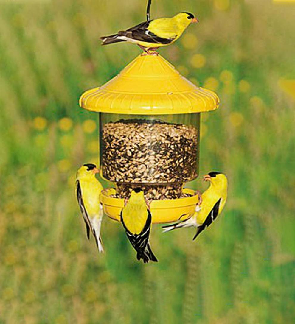 Plow &amp; Hearth Bird Feeders | Yard &amp; Garden Clinger Hanging Bird Feeder - Green