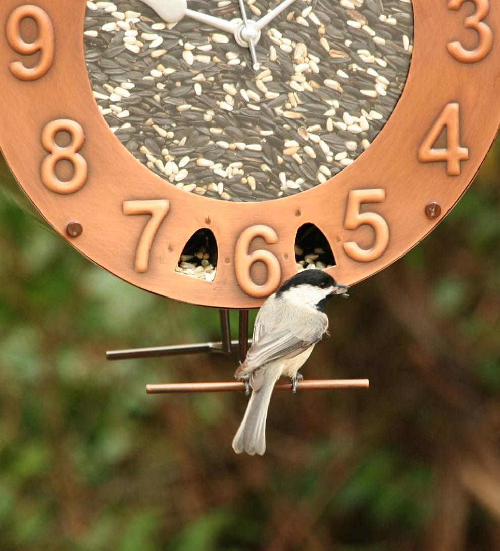 Plow &amp; Hearth Bird Feeders | Yard &amp; Garden Copper And Plexiglass Clock-Motif Bird Feeder