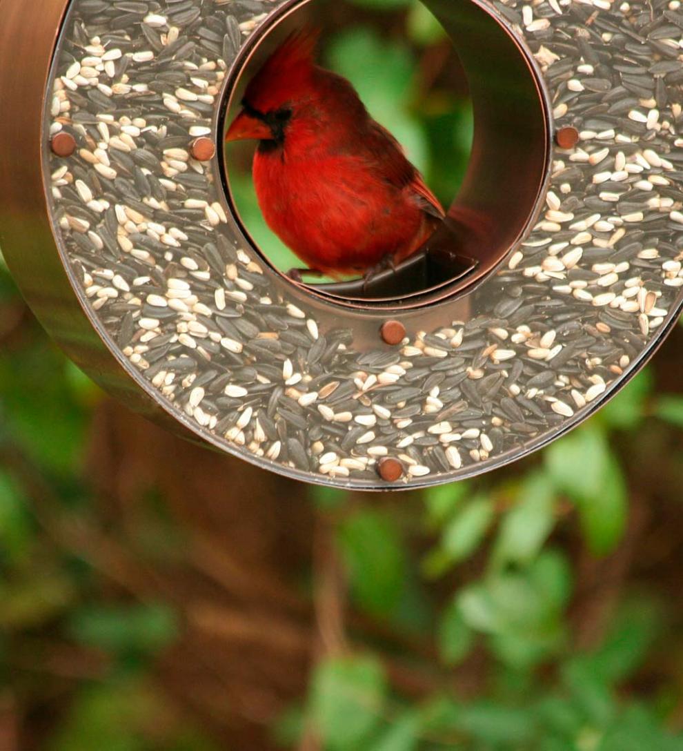Plow &amp; Hearth Bird Feeders | Yard &amp; Garden Copper Tear Drop Bird Feeder