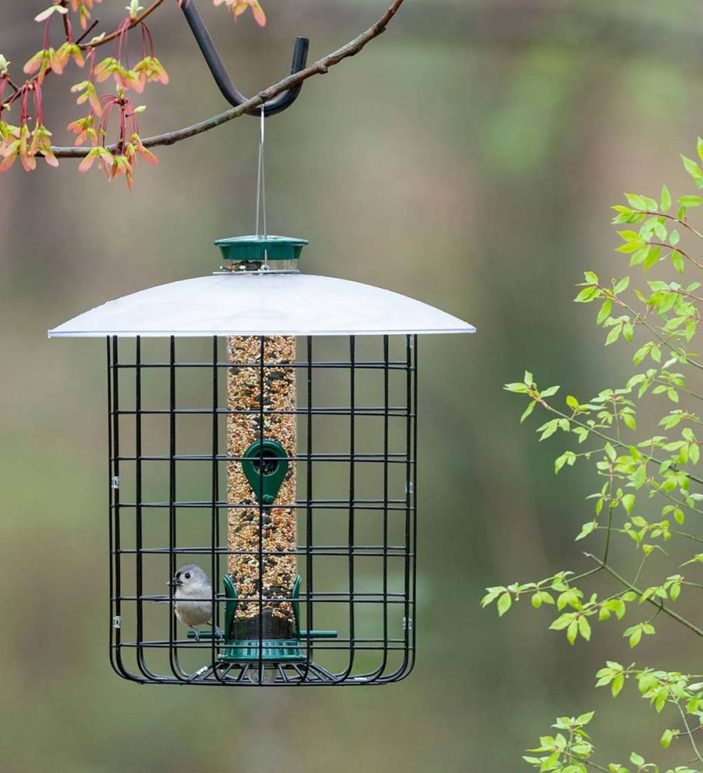 Plow &amp; Hearth Bird Feeders | Yard &amp; Garden Domed Squirrel-Proof Cage Bird Feeder