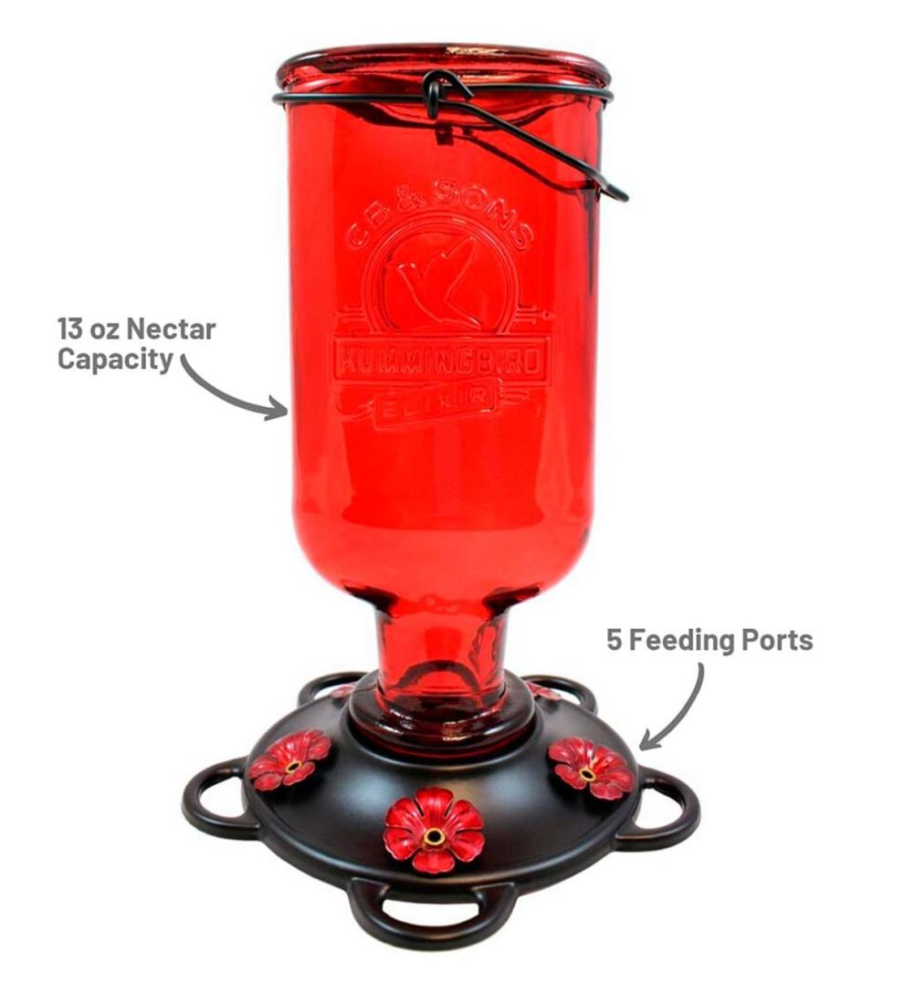 Plow &amp; Hearth Bird Feeders | Yard &amp; Garden Elixir 13-Ounce Vintage-Style Bottle Hummingbird Feeder