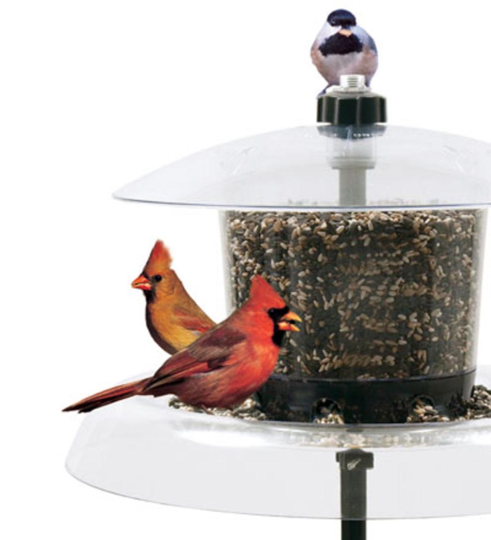 Plow &amp; Hearth Bird Feeders | Yard &amp; Garden Jagunda Squirrel Proof Feeder