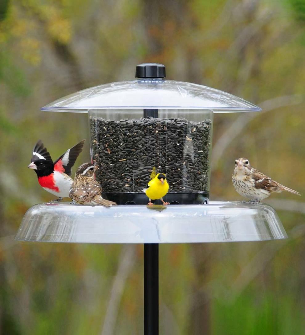 Plow &amp; Hearth Bird Feeders | Yard &amp; Garden Jagunda Squirrel Proof Feeder