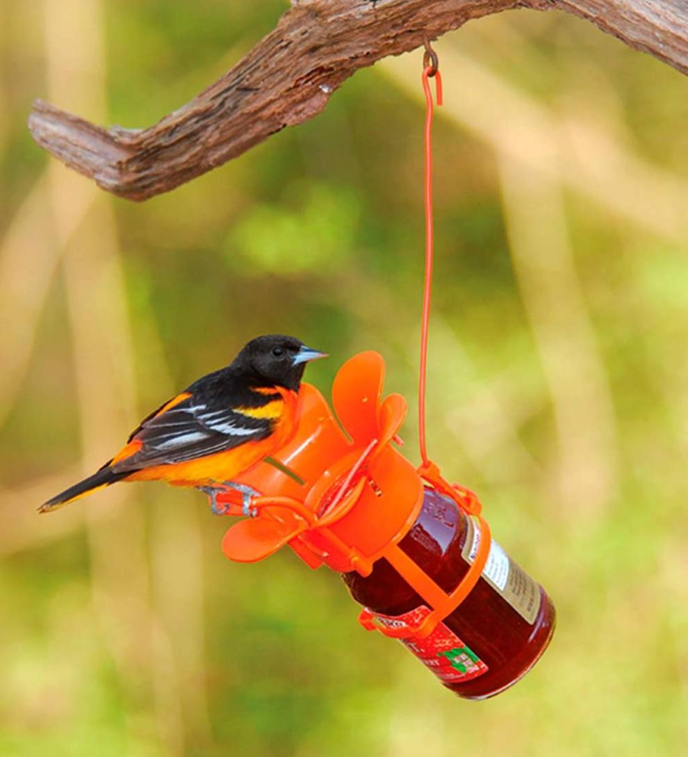 Plow &amp; Hearth Bird Feeders | Yard &amp; Garden Jelly/Jam Jar Oriole Bird Feeder