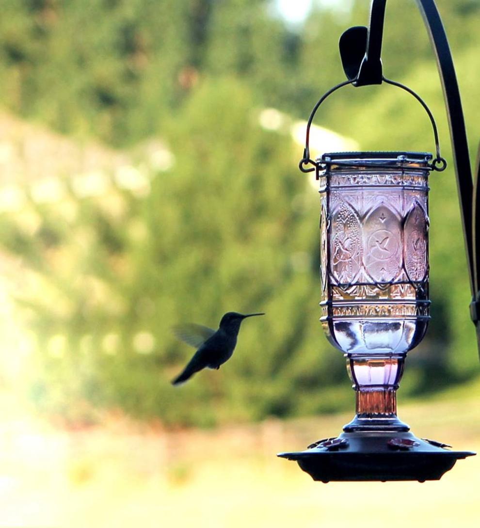 Plow &amp; Hearth Bird Feeders | Yard &amp; Garden Jewel Vintage Style 20-Ounce Hummingbird Feeder - Amethyst