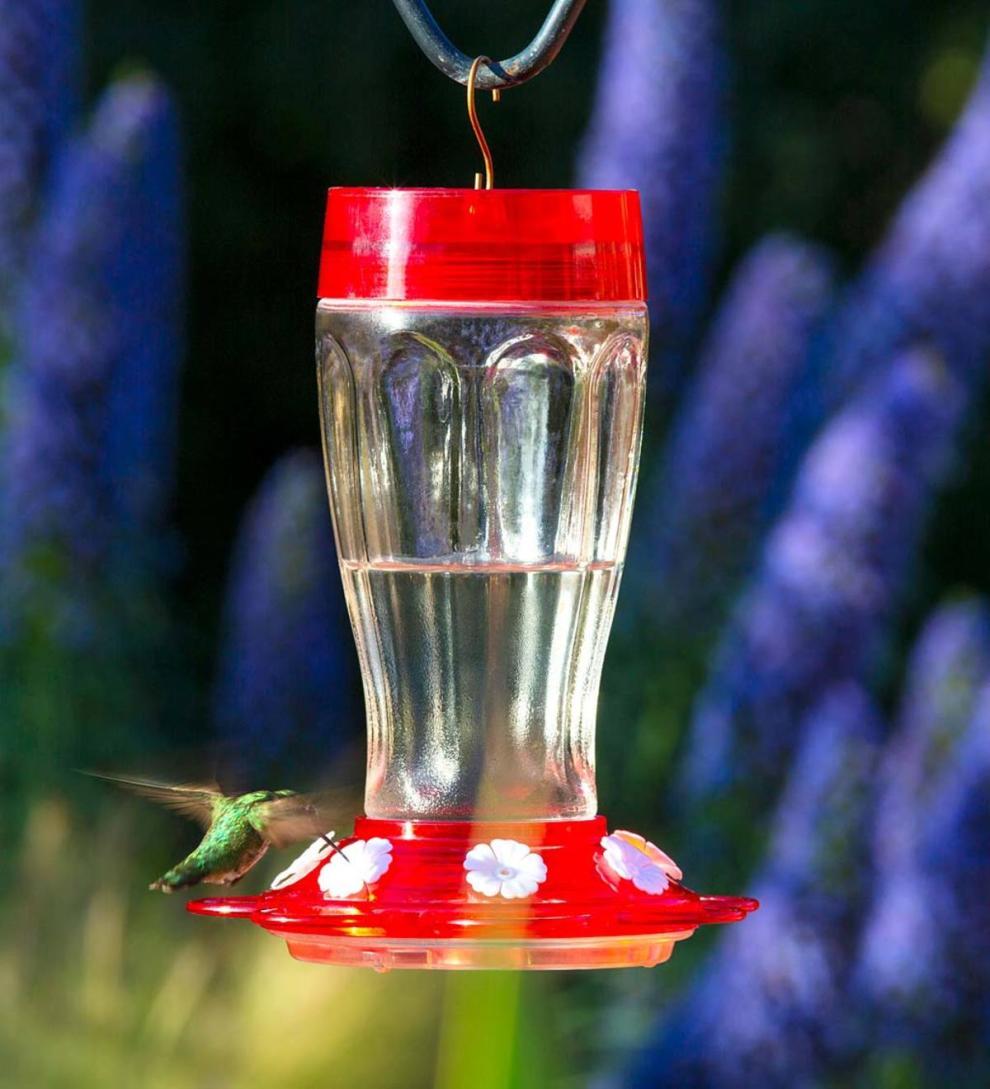 Plow &amp; Hearth Bird Feeders | Yard &amp; Garden Jumbo 40-Ounce Hanging Hummingbird Feeder