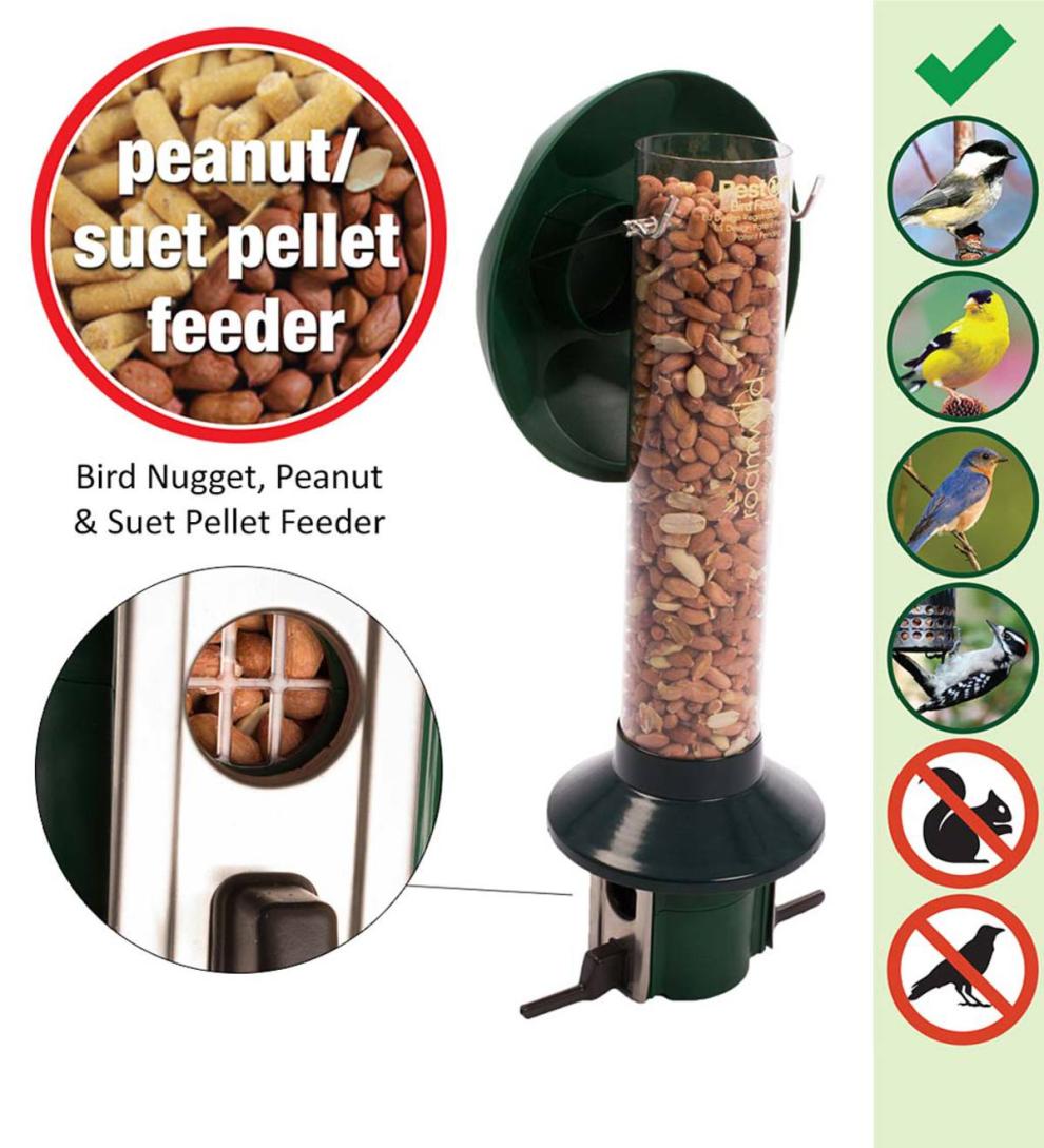 Plow &amp; Hearth Bird Feeders | Yard &amp; Garden Pestoff Bird Feeder For Peanuts, Dried Meal Worms, Suet And Wild Bird Nuggets
