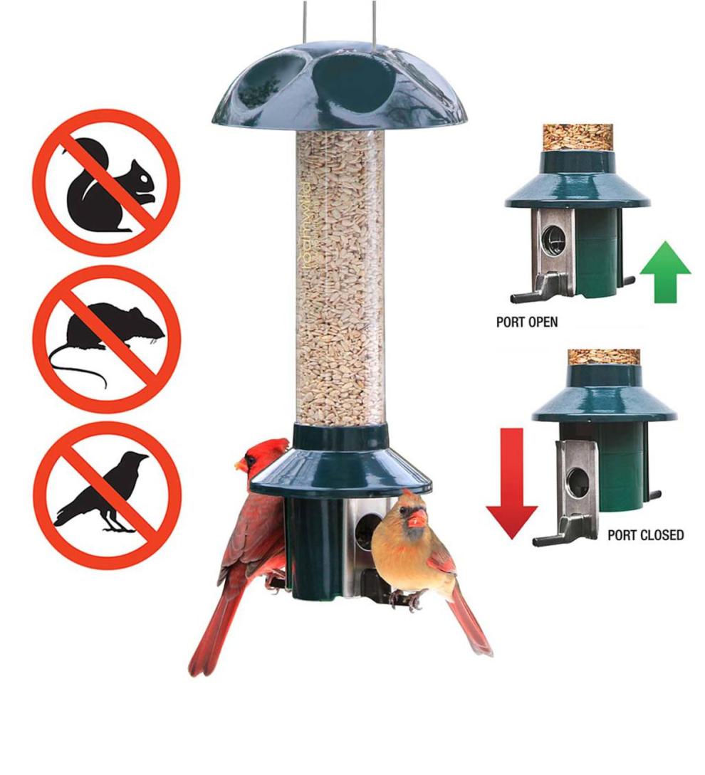 Plow &amp; Hearth Bird Feeders | Yard &amp; Garden Pestoff Sunflower Mixed Seed Pest Proof Bird Feeder