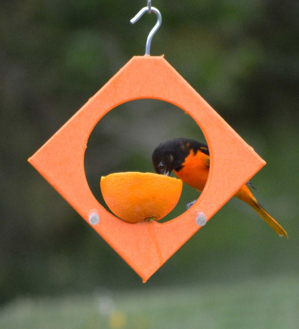 Plow &amp; Hearth Bird Feeders | Yard &amp; Garden Recycled Plastic Oriole Diamond Fruit Feeder