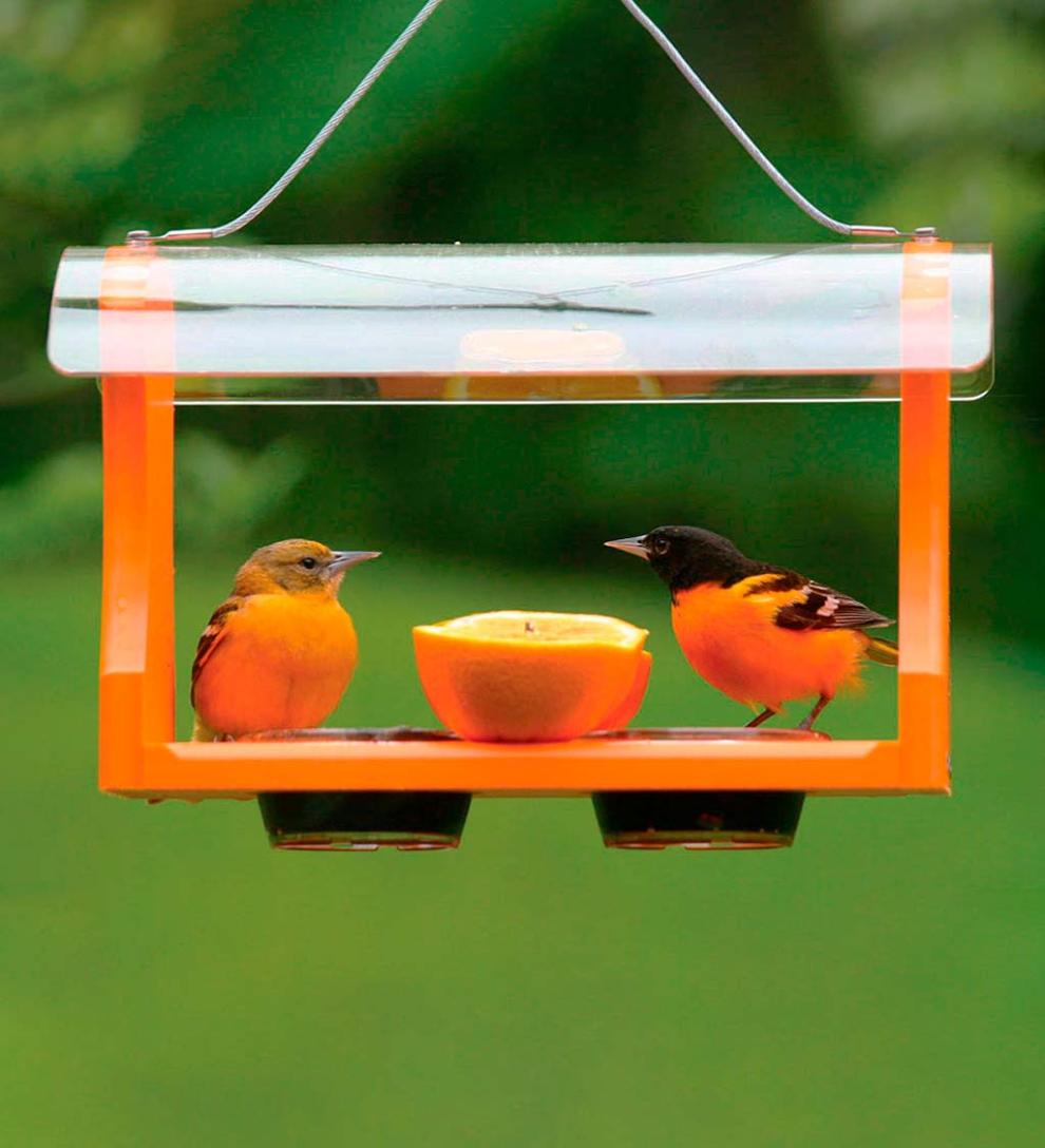 Plow &amp; Hearth Bird Feeders | Yard &amp; Garden Recycled Plastic Poly-Lumber Oriole Bird Feeder