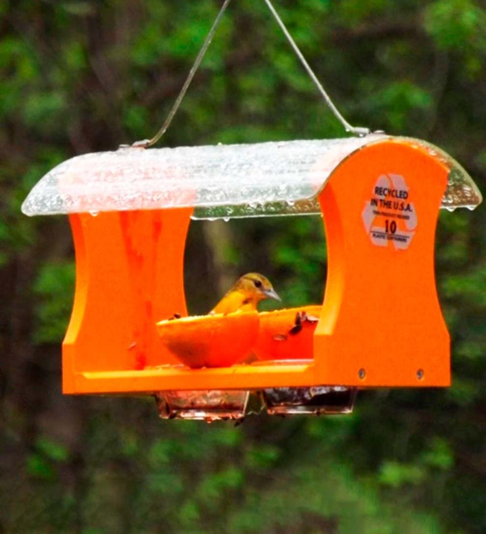 Plow &amp; Hearth Bird Feeders | Yard &amp; Garden Recycled Plastic Poly-Lumber Oriole Bird Feeder