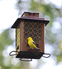 Plow &amp; Hearth Bird Feeders | Yard &amp; Garden Squirrel-Resistant Metal Hopper Bird Feeder