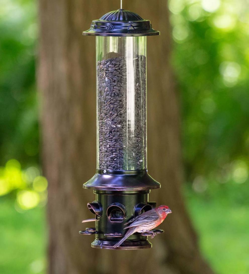 Plow &amp; Hearth Bird Feeders | Yard &amp; Garden Squirrel-X5 Squirrel-Resistant Hanging Bird Feeder