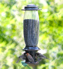 Plow &amp; Hearth Bird Feeders | Yard &amp; Garden Squirrel-X6 Squirrel-Resistant Hanging Bird Feeder