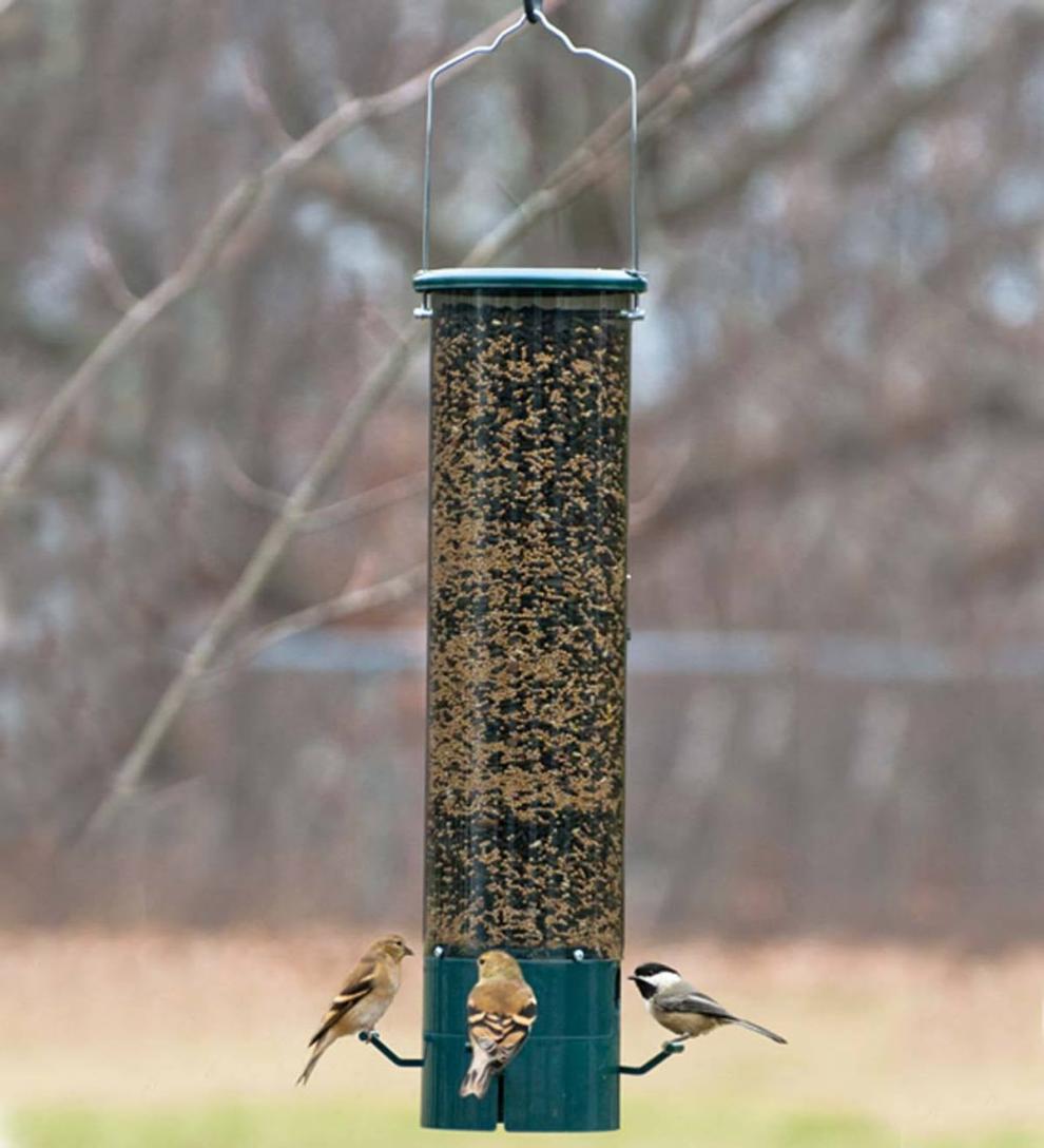 Plow &amp; Hearth Bird Feeders | Yard &amp; Garden The Magnet Squirrel-Proof Feeder