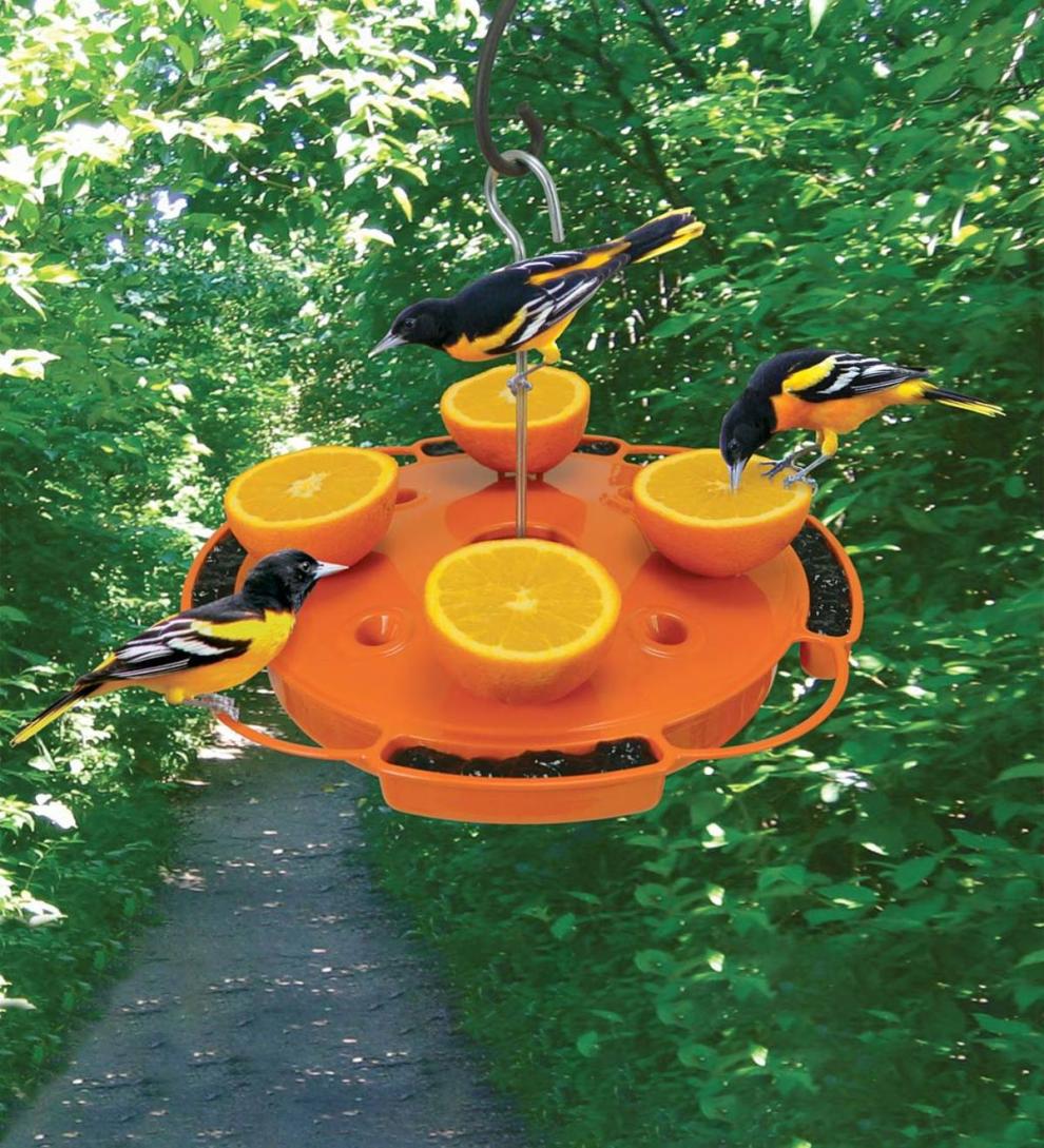 Plow &amp; Hearth Bird Feeders | Yard &amp; Garden Ultimate Oriole Fruit, Jelly And Nectar Bird Feeder