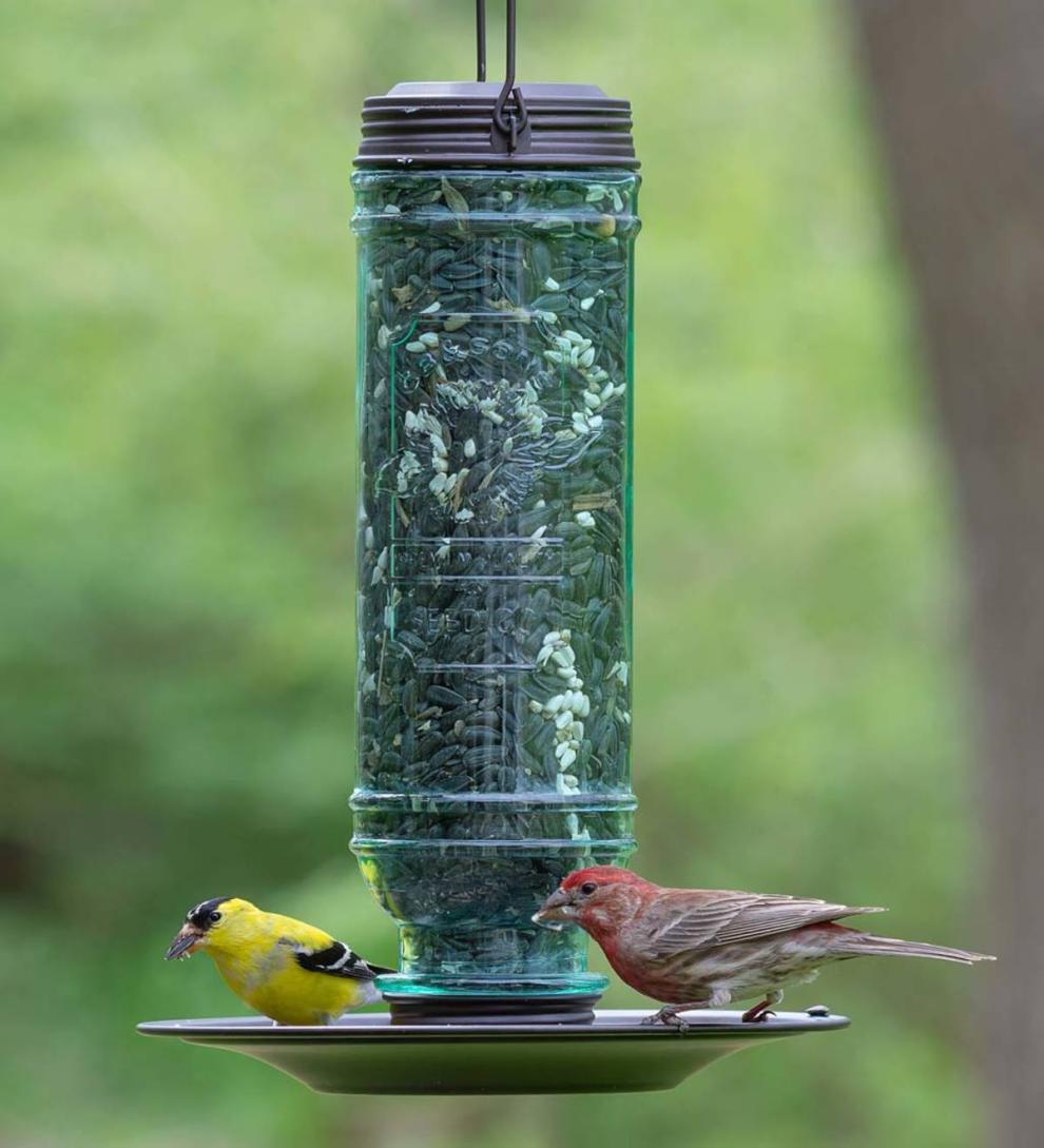 Plow &amp; Hearth Bird Feeders | Yard &amp; Garden Vintage-Style Glass And Metal Hanging Songbird Feeder
