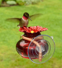 Plow &amp; Hearth Bird Feeders | Yard &amp; Garden Window Watch Hummingbird Feeder
