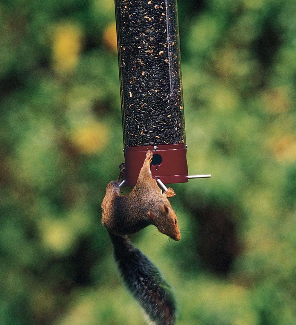 Plow &amp; Hearth Bird Feeders | Yard &amp; Garden Yankee Dipper