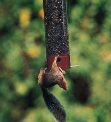 Plow &amp; Hearth Bird Feeders | Yard &amp; Garden Yankee Dipper