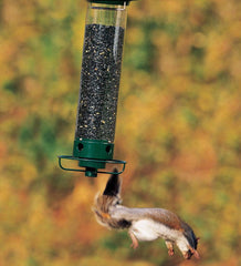 Plow &amp; Hearth Bird Feeders | Yard &amp; Garden Yankee Flipper® Bird Feeder
