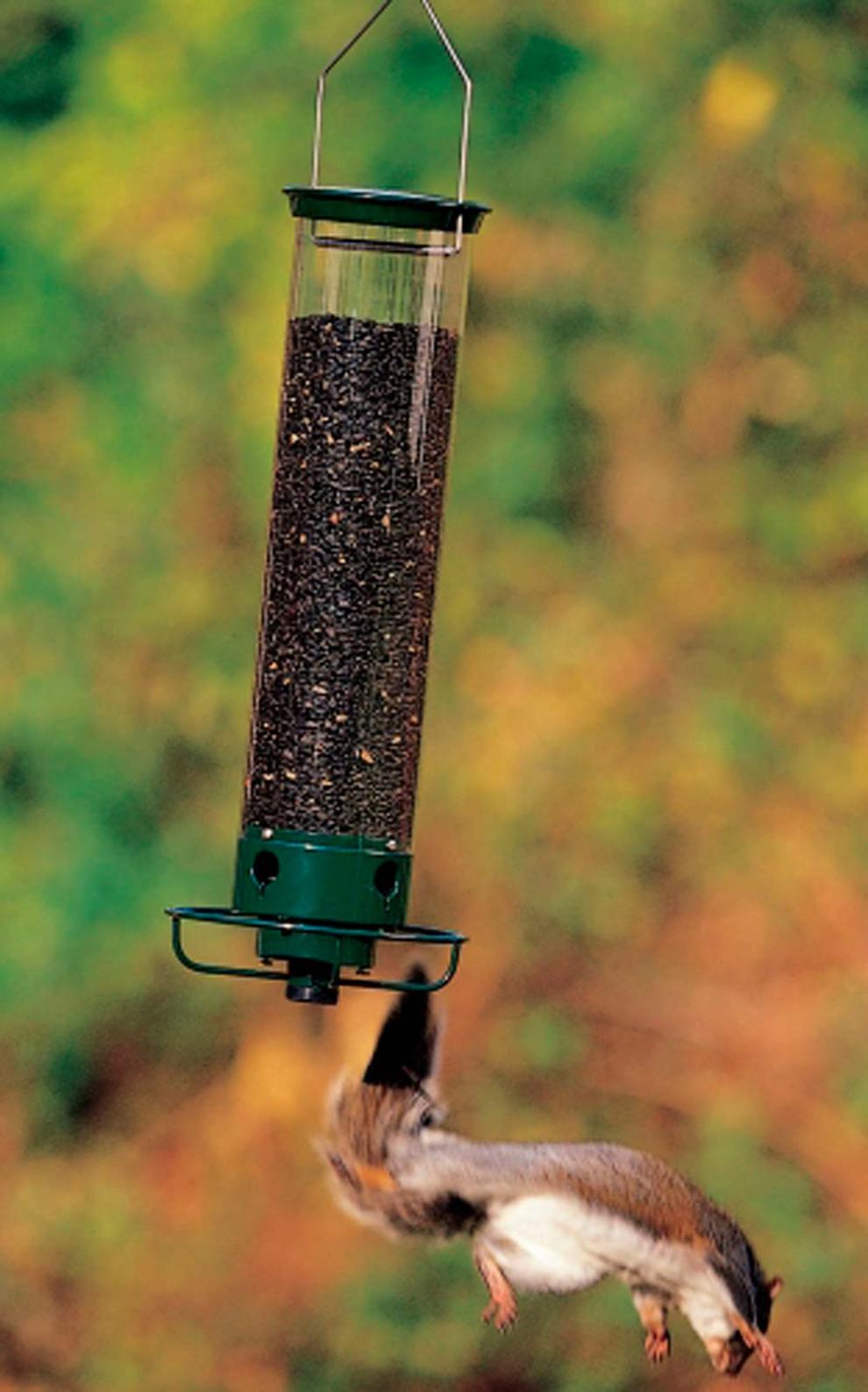 Plow &amp; Hearth Bird Feeders | Yard &amp; Garden Yankee Flipper® Bird Feeder