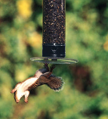 Plow &amp; Hearth Bird Feeders | Yard &amp; Garden Yankee Tipper Bird Feeder