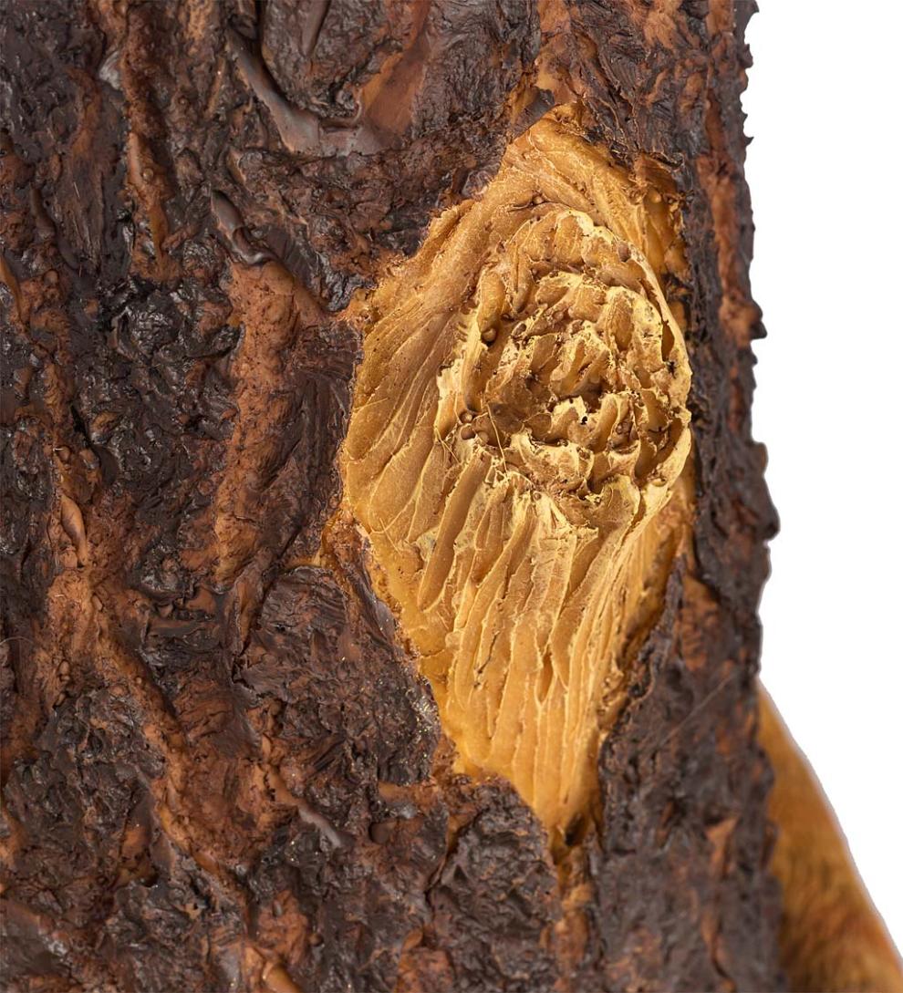 Plow &amp; Hearth Birdbaths | Yard &amp; Garden Forty Winks Tree Stump Birdbath With Cat And Bluebirds