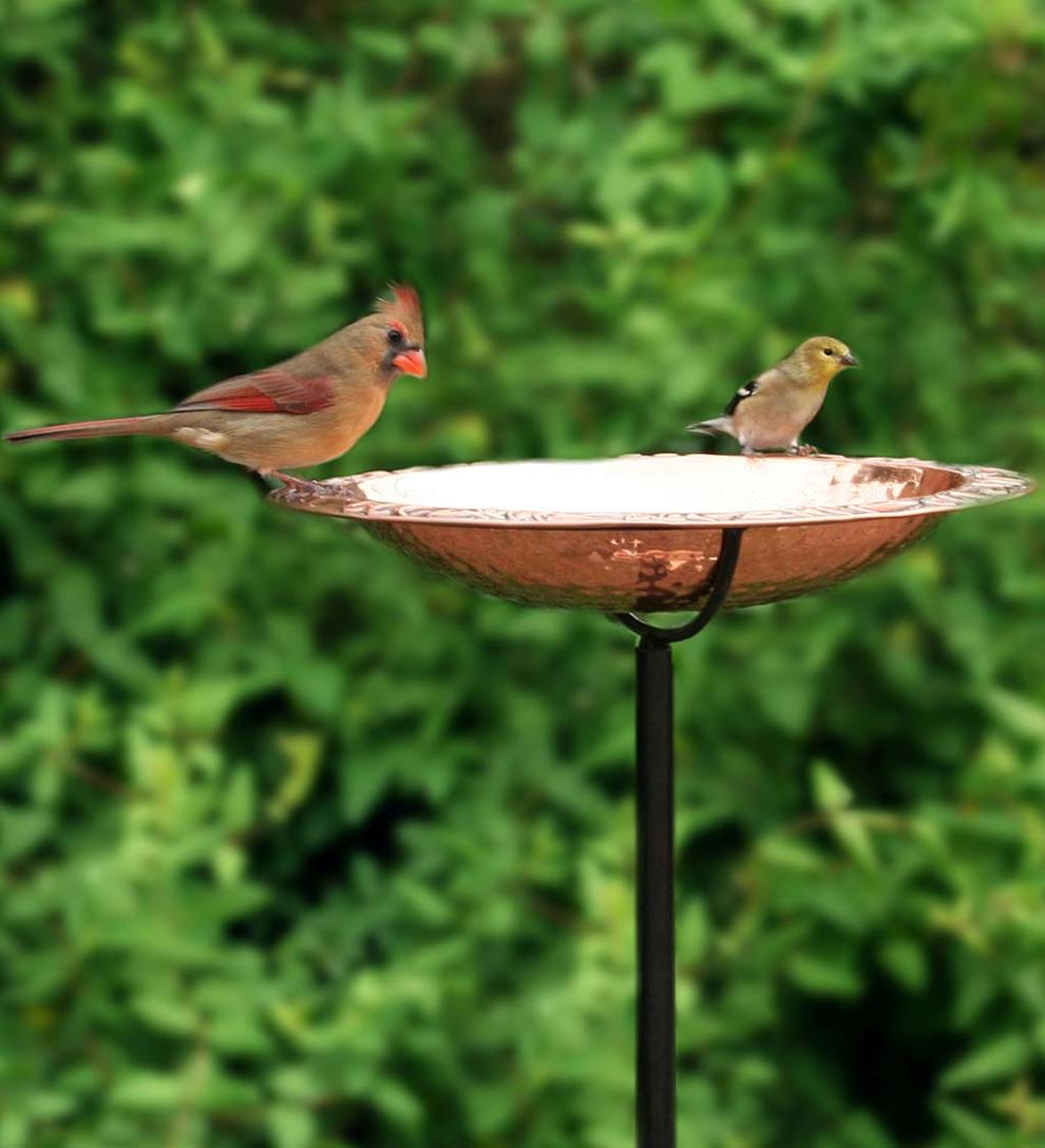 Plow &amp; Hearth Birdbaths | Yard &amp; Garden Pure Copper Birdbath On Powder-Coated Steel Pole With Sturdy Three-Prong Stake