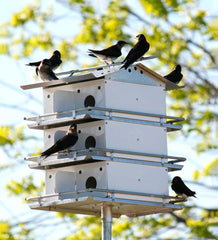 Plow &amp; Hearth Birdhouses | Yard &amp; Garden 12-Room Purple Martin Birdhouse