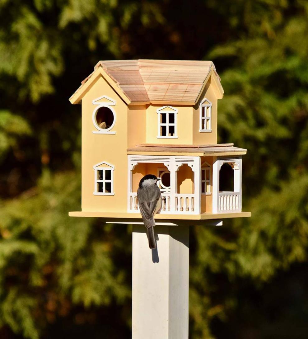 Plow &amp; Hearth Birdhouses | Yard &amp; Garden Prairie Farmhouse Lighted Birdhouse And Optional Wood Pole