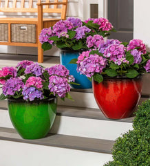 Plow &amp; Hearth Deck &amp; Patio Accents | Outdoor Living Colorful Faux Glazed Ceramic Self-Watering Planter - Blue