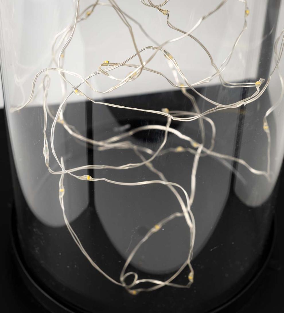 Plow &amp; Hearth Deck &amp; Patio Accents | Outdoor Living Glass Firefly Solar Lantern With String Lights