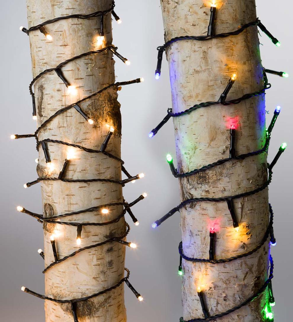 Plow &amp; Hearth Deck &amp; Patio Accents | Outdoor Living Multifunction Twinkle String Lights With Timer, Black Wire With White Or Multi Leds