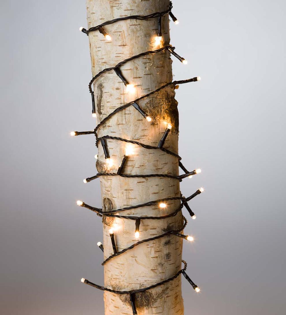 Plow &amp; Hearth Deck &amp; Patio Accents | Outdoor Living Multifunction Twinkle String Lights With Timer, Black Wire With White Or Multi Leds