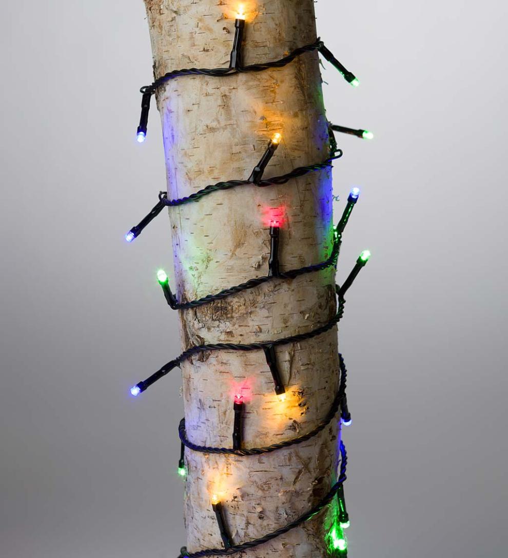 Plow &amp; Hearth Deck &amp; Patio Accents | Outdoor Living Multifunction Twinkle String Lights With Timer, Black Wire With White Or Multi Leds