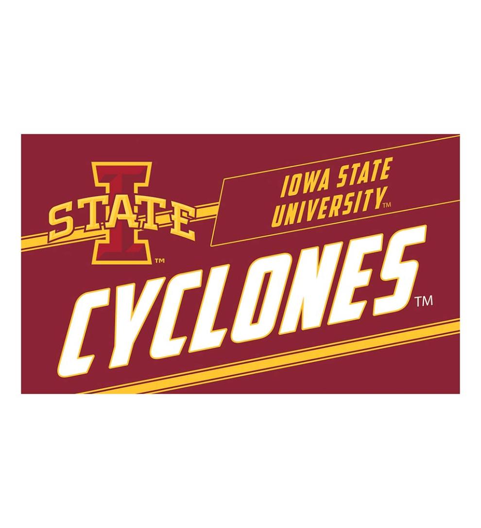 Plow &amp; Hearth Deck &amp; Patio Accents | Outdoor Living Ncaa University Coir Punch Mat - Auburn