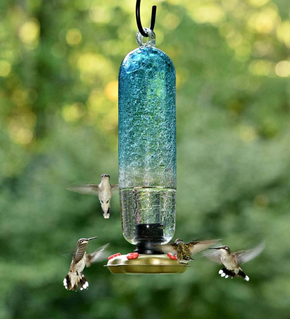 Plow &amp; Hearth Deck &amp; Patio Accents | Outdoor Living Recycled Glass Tall Aqua Hummingbird Feeder - Aqua