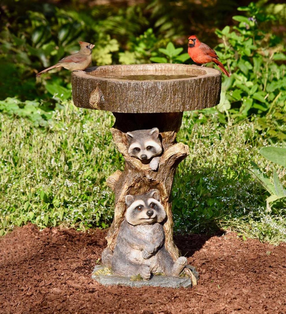 Plow &amp; Hearth Deck &amp; Patio Accents | Outdoor Living Resin Raccoon Birdbath