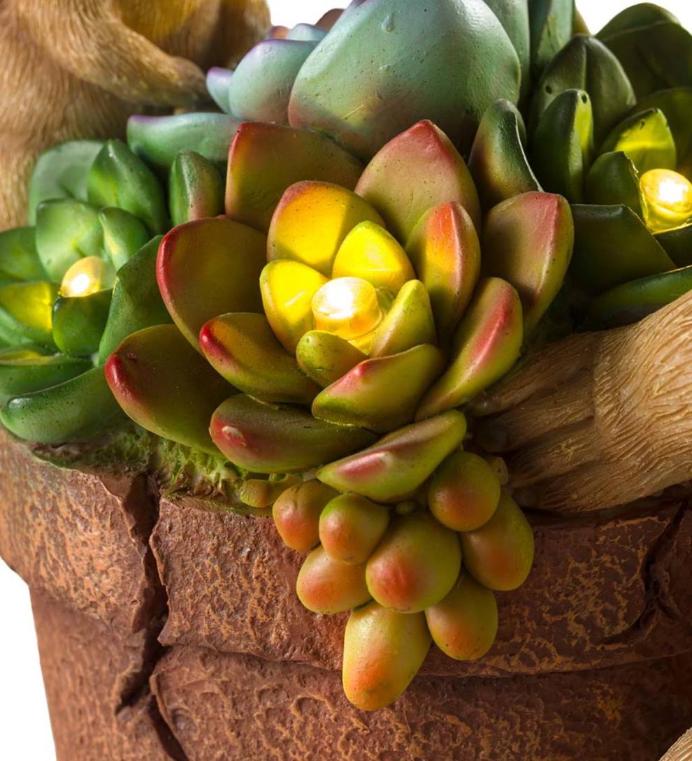 Plow &amp; Hearth Deck &amp; Patio Accents | Outdoor Living Solar Succulent Hedgehogs Flower Pot Garden Statue