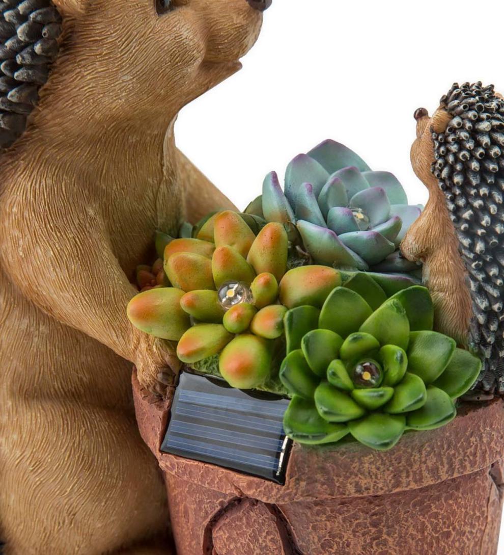 Plow &amp; Hearth Deck &amp; Patio Accents | Outdoor Living Solar Succulent Hedgehogs Flower Pot Garden Statue