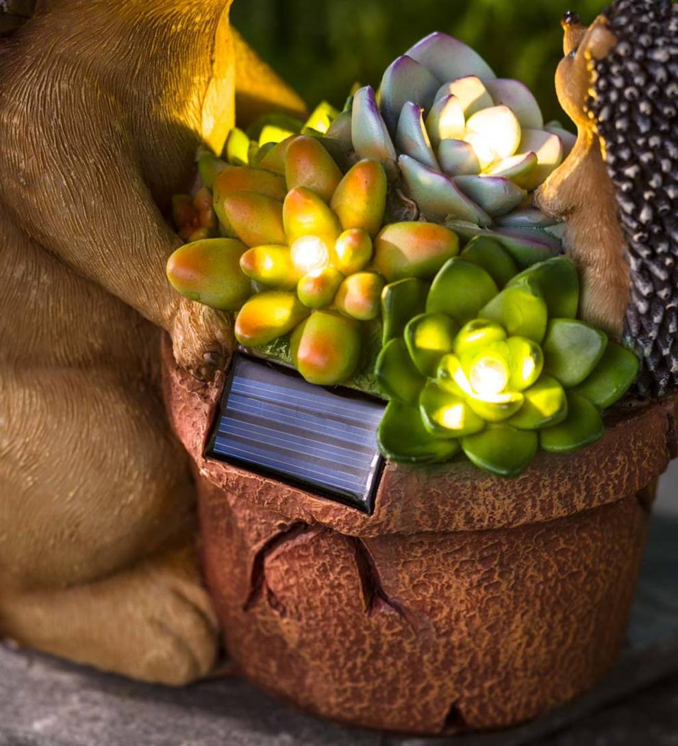 Plow &amp; Hearth Deck &amp; Patio Accents | Outdoor Living Solar Succulent Hedgehogs Flower Pot Garden Statue