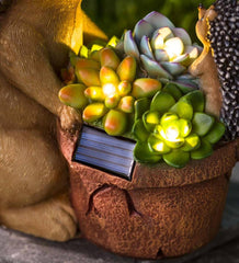 Plow &amp; Hearth Deck &amp; Patio Accents | Outdoor Living Solar Succulent Hedgehogs Flower Pot Garden Statue