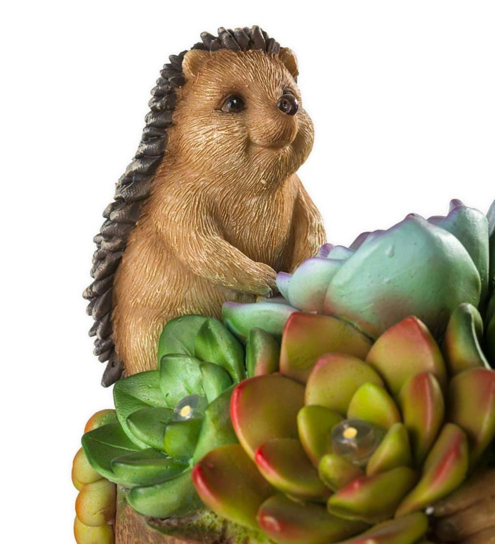 Plow &amp; Hearth Deck &amp; Patio Accents | Outdoor Living Solar Succulent Hedgehogs Flower Pot Garden Statue