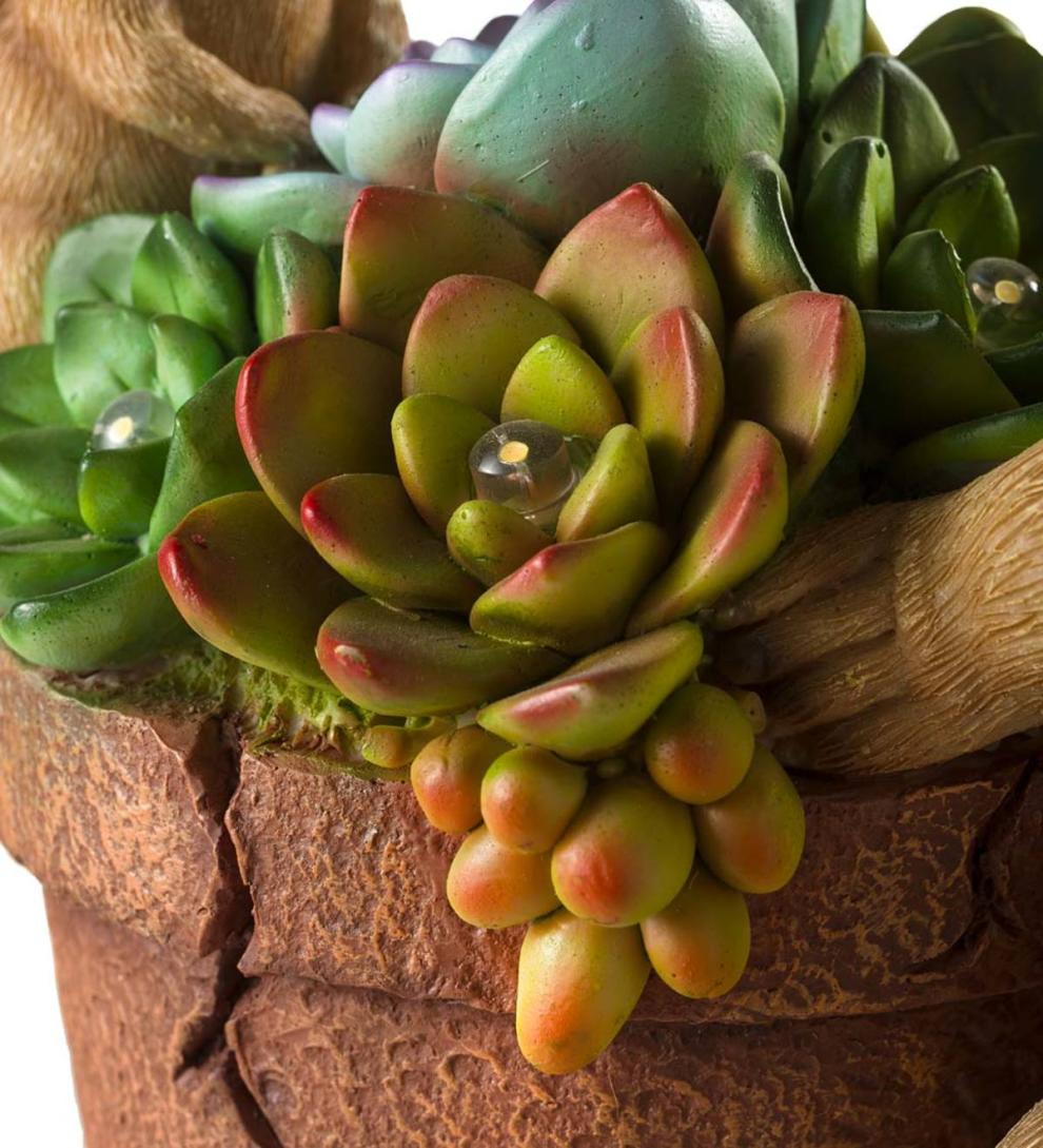 Plow &amp; Hearth Deck &amp; Patio Accents | Outdoor Living Solar Succulent Hedgehogs Flower Pot Garden Statue